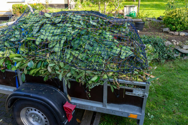 Best Shed Removal  in Ledgewood, NJ